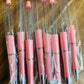 Coral plastic pens (wholesale)